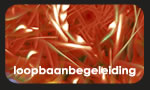 loopbaanbegeleiding